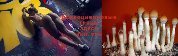 ECSTASY Горняк
