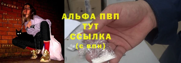 ECSTASY Горняк