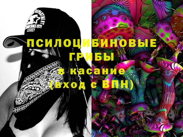 spice Горнозаводск