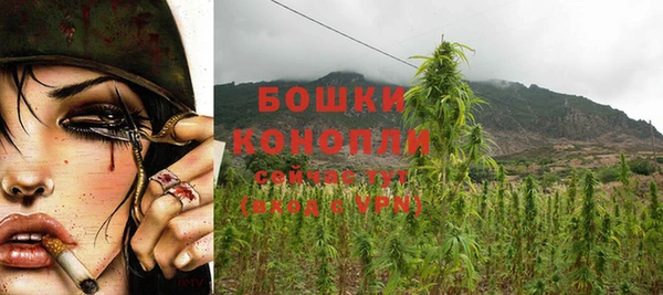 марки nbome Вяземский