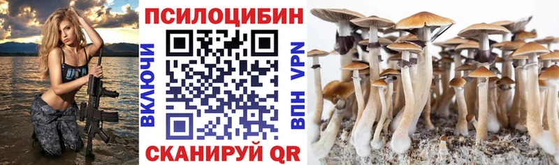 Галлюциногенные грибы мухоморы  Гусиноозёрск 
